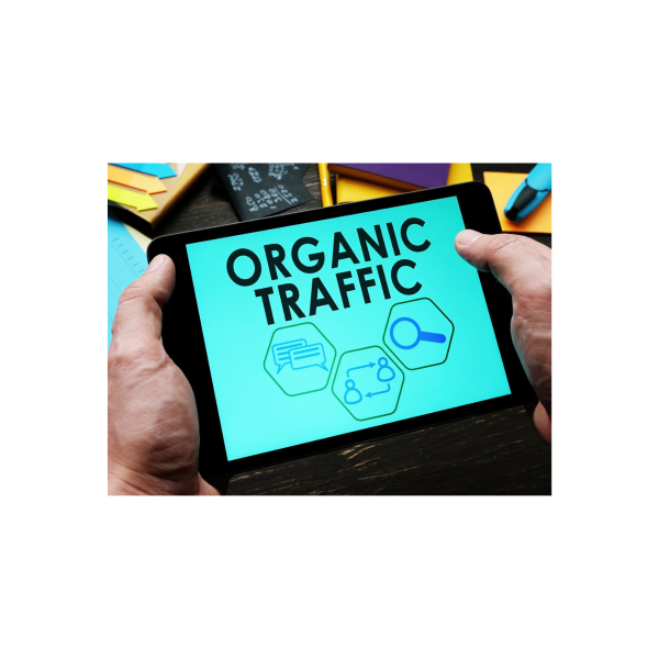Organic Acceleration – How I turned $20 to 7 figs with Organic Traffic Download